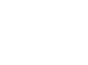 The Global Axis Immigration Services